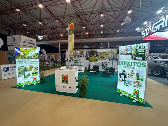 WhatsApp Image 2024-06-08 at 19.59.31 (1)