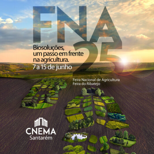 Calendario-CNEMA