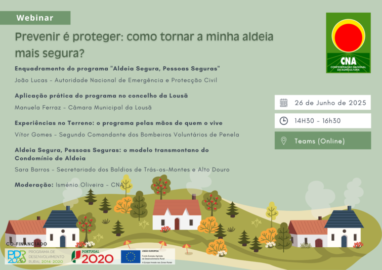 webinar_aldeia segura (1)