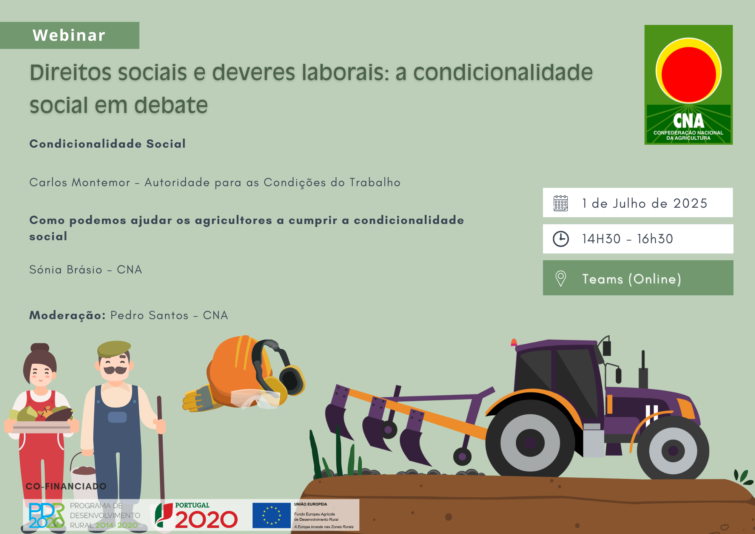 webinar_condicionalidade