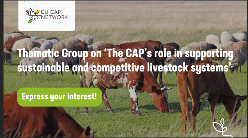 Captura de ecrã 2025-11-06 103610