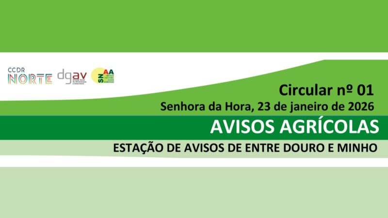 circular Entre Douro e Minho 1_2026_2