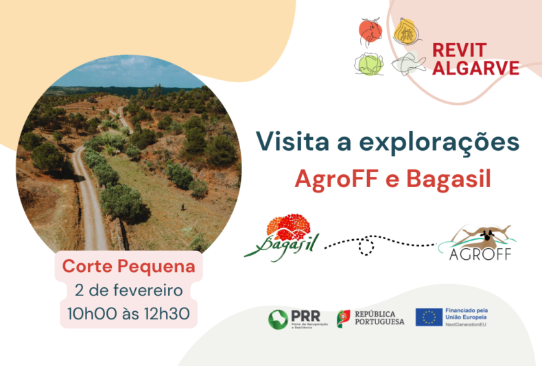 Revitalgarve-visita-agroff-bagasil-img