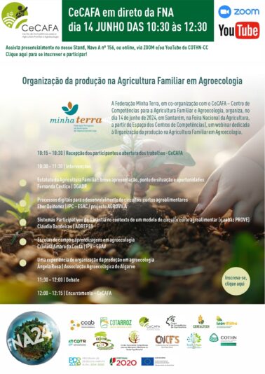 Programa Webinar CeCAFA-min