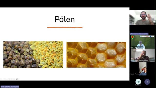 Nuno Capela - _Do pólen ao pote_ o mel como tesouro natural e rural_ - Made with Clipchamp (1)