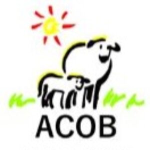 Foto de perfil ACOB - Associação Nacional de Criadores de Ovinos da Raça Churra Galega Bragançana