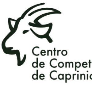 Foto de perfil Centro de Competências da Caprinicultura