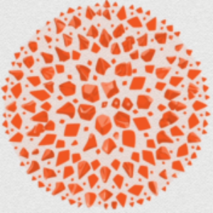 Foto de perfil Medronhalva Lda.