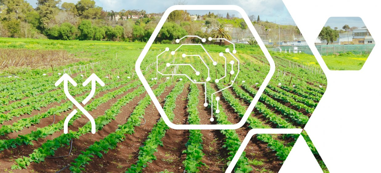 Agricultura Aumentada e Sustentabilidade – Explorando o potencial da realidade aumentada e virtual n