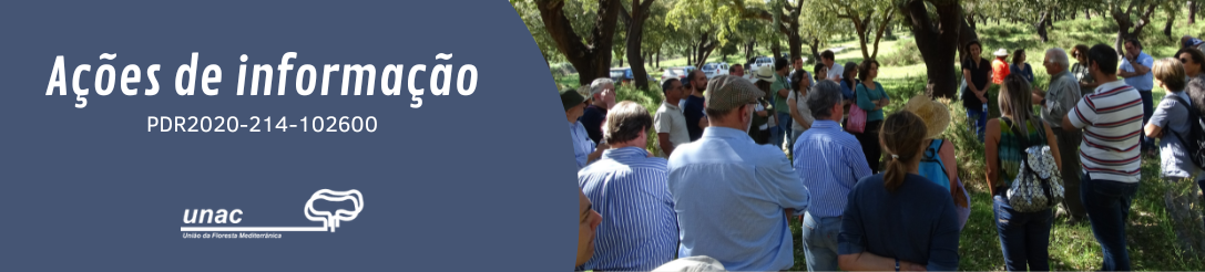 Ações de informação (PDR2020-214-102600)